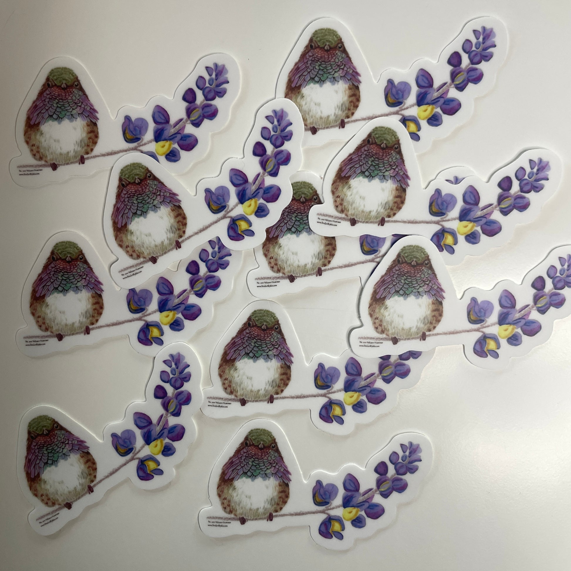Volcano Hummingbird - Bird Art by KB - Sticker