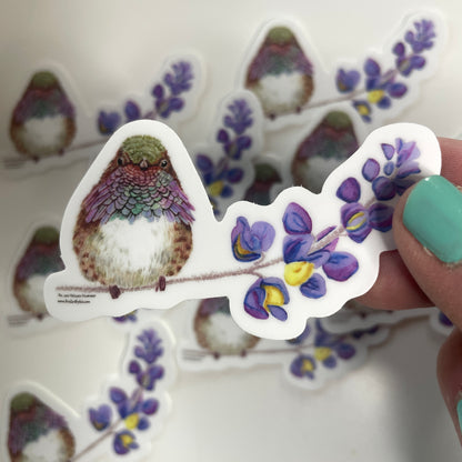 Volcano Hummingbird - Bird Art by KB - Sticker
