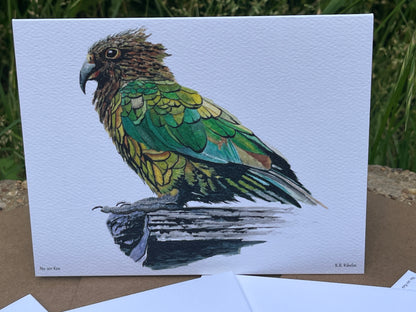 Kea - Bird Art by KB - Notecard