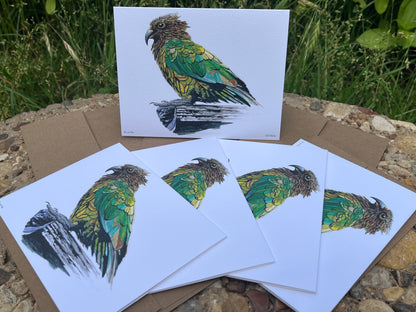 Kea - Bird Art by KB - Notecard Set
