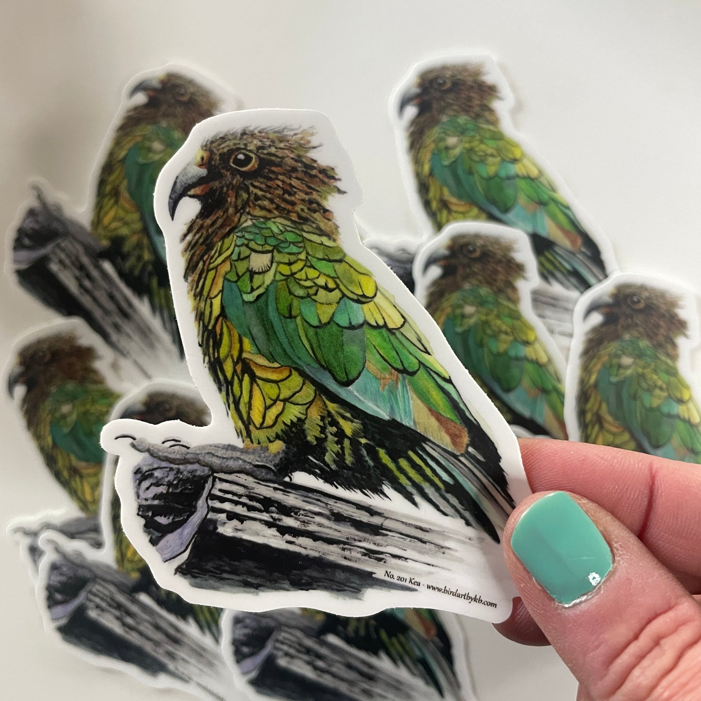 Kea - Bird Art by KB - Sticker