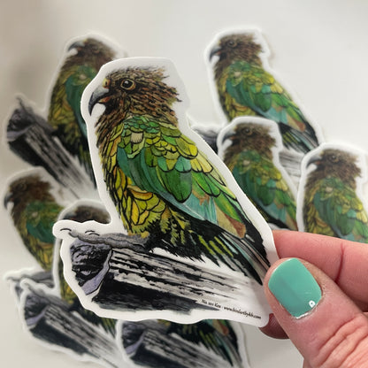 Kea - Bird Art by KB - Sticker