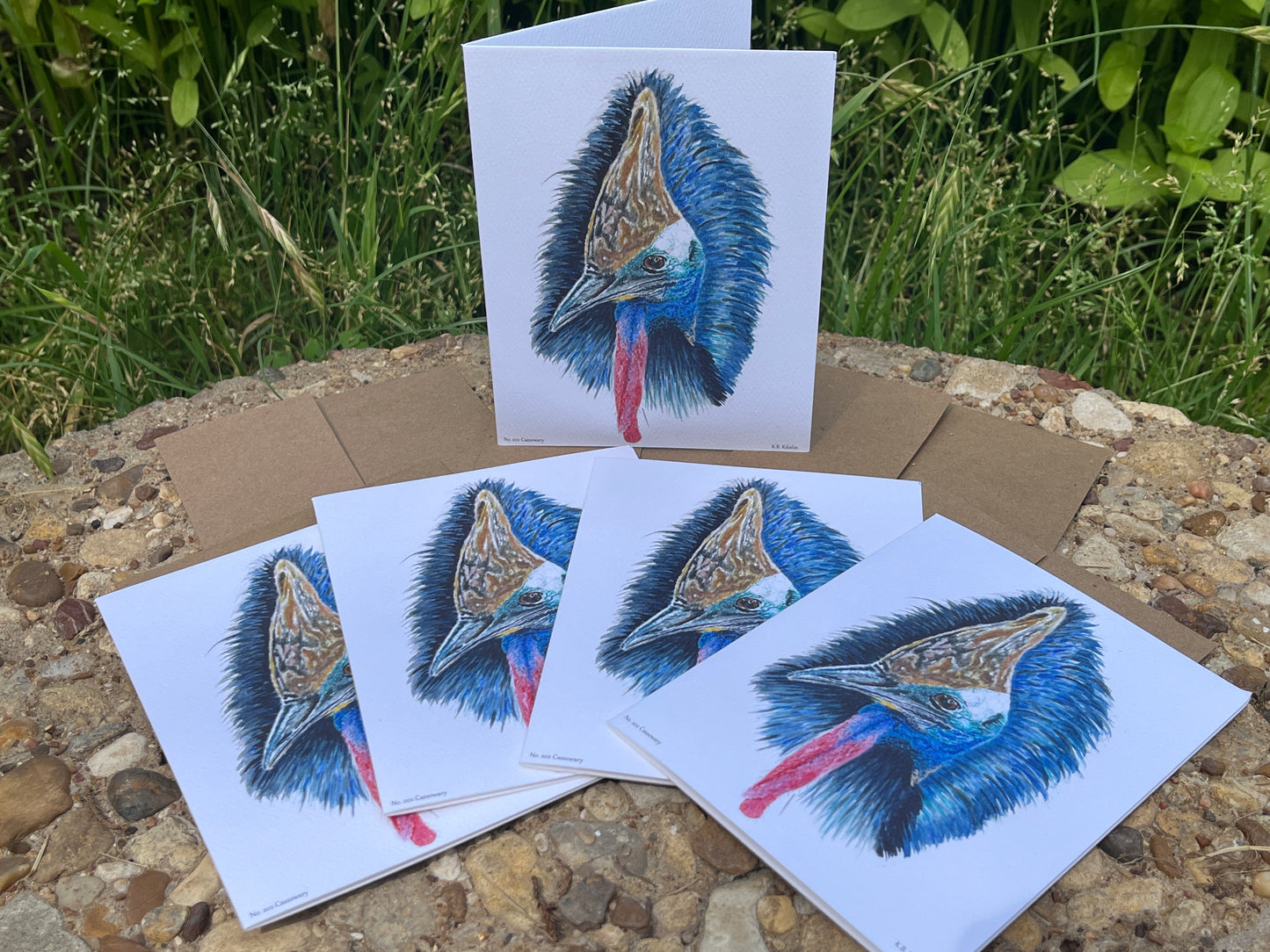 Cassowary - Bird Art by KB - Notecard Set