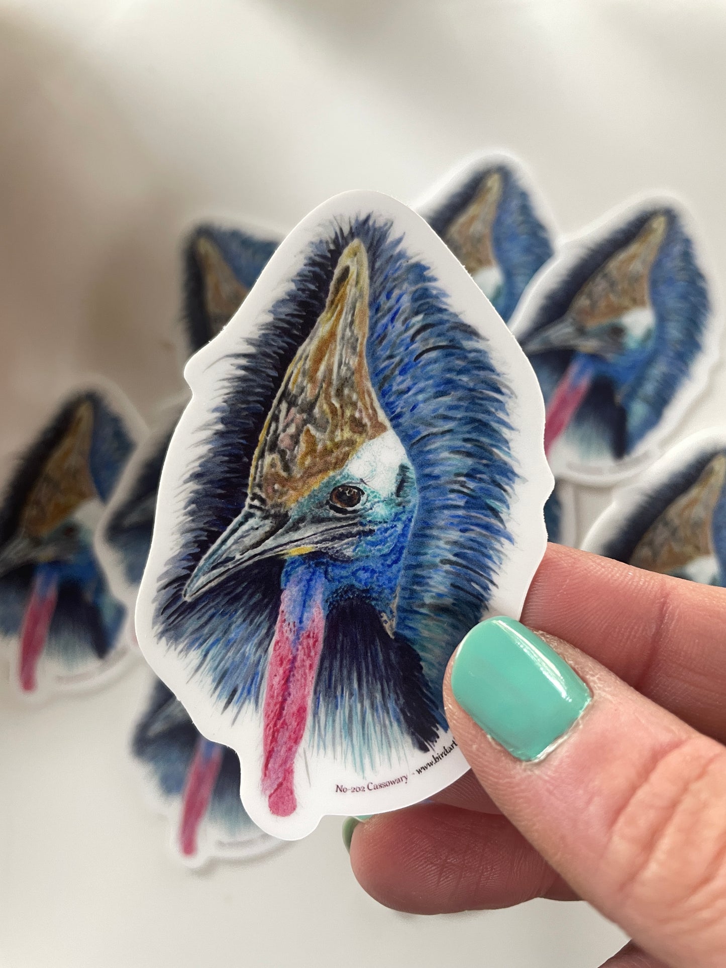 Cassowary - Bird Art by KB - Sticker