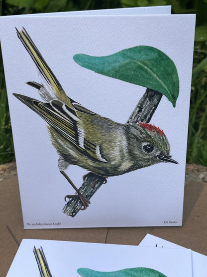 Ruby-crowned Kinglet - Bird Art by KB - Notecard