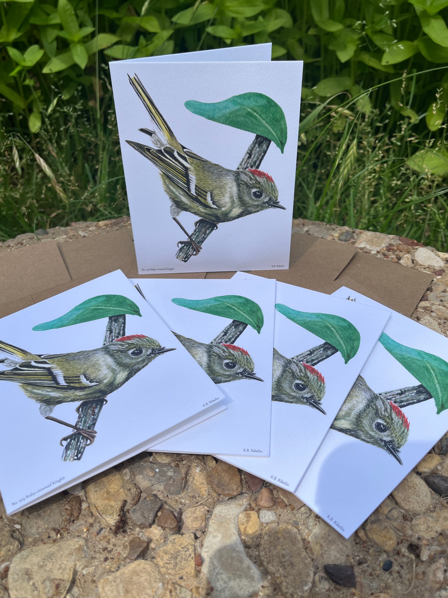 Ruby-crowned Kinglet - Bird Art by KB - Notecard Set