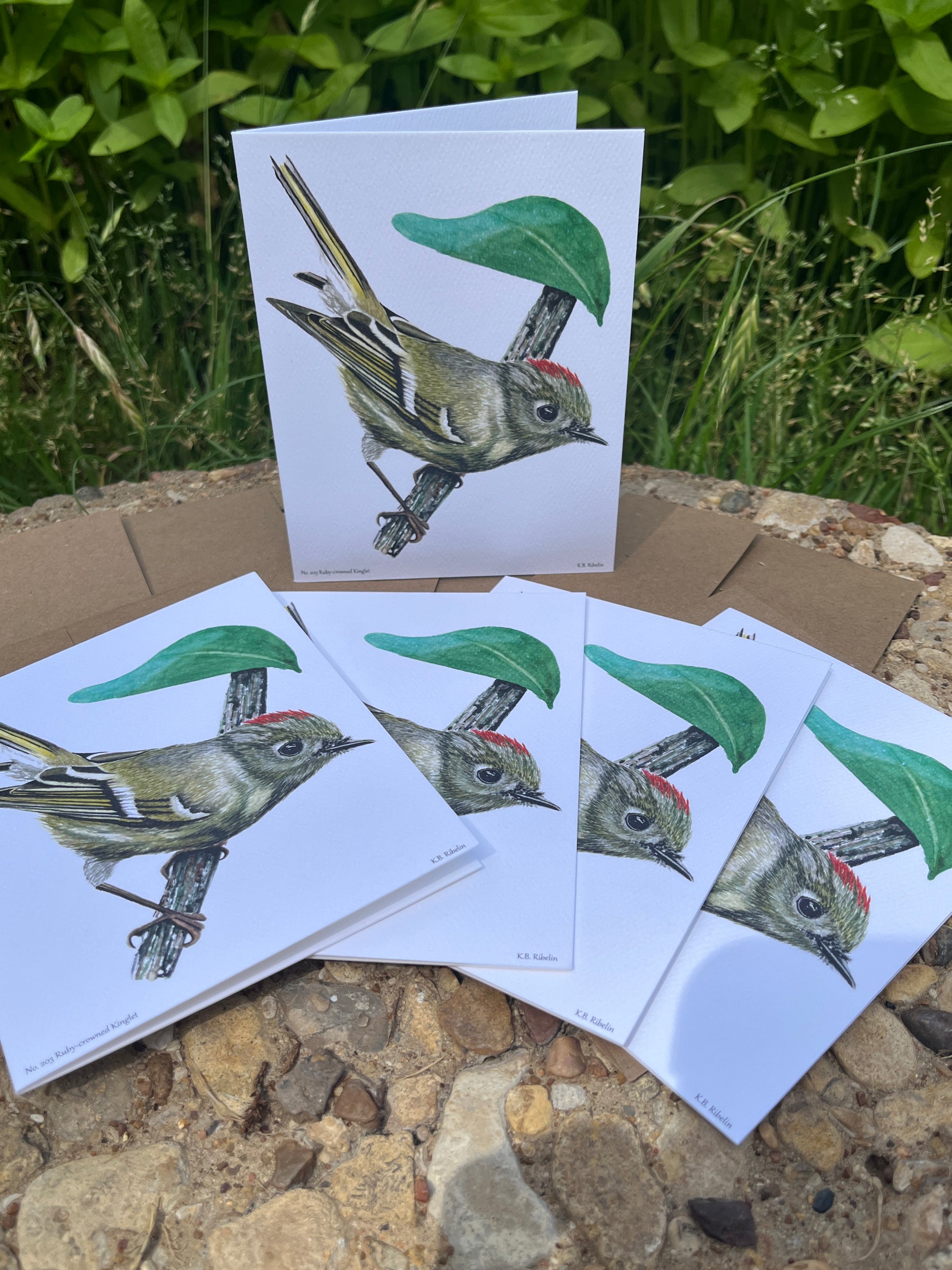 Ruby-crowned Kinglet - Bird Art by KB - Notecard Set