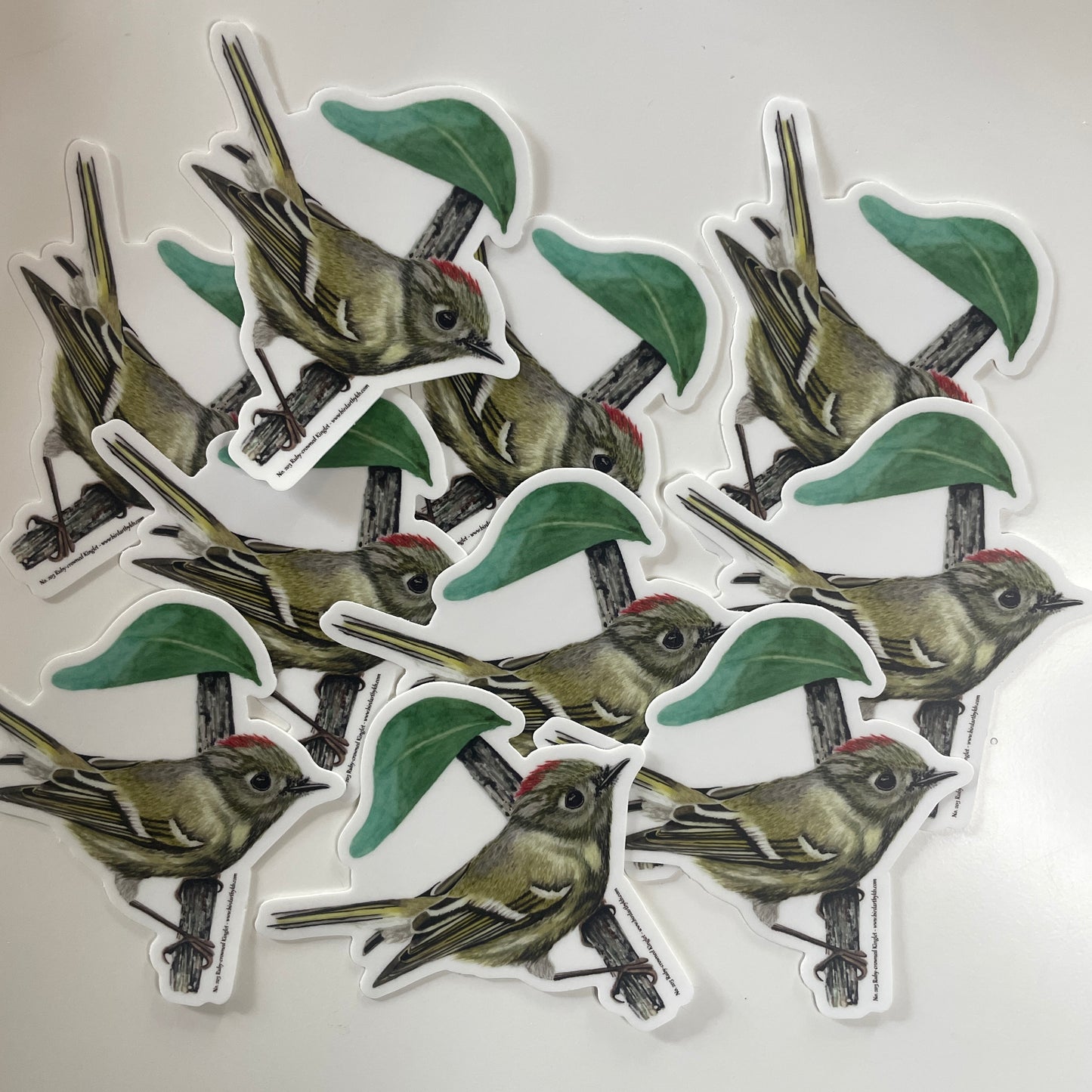Ruby-crowned Kinglet - Bird Art by KB - Sticker