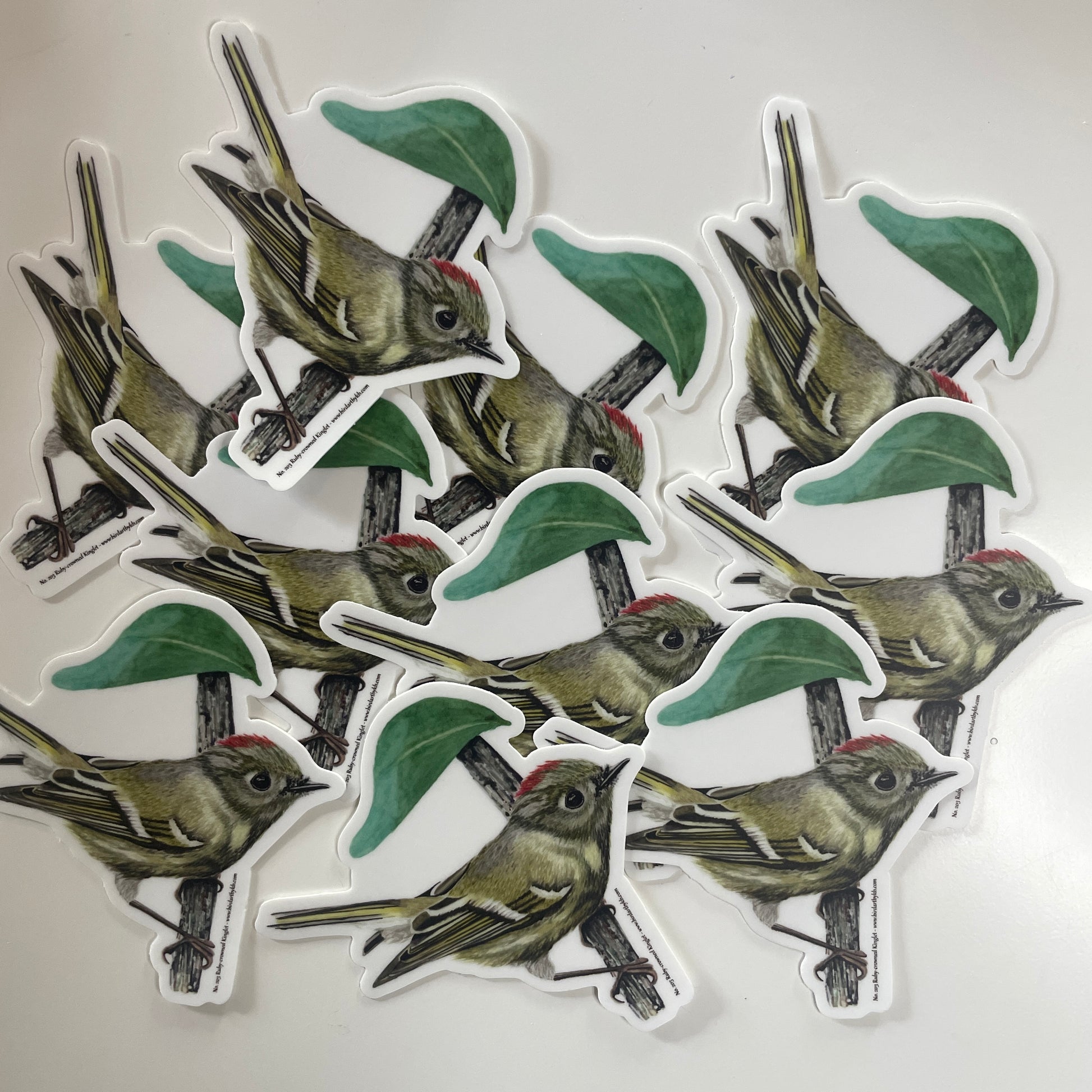 Ruby-crowned Kinglet - Bird Art by KB - Sticker
