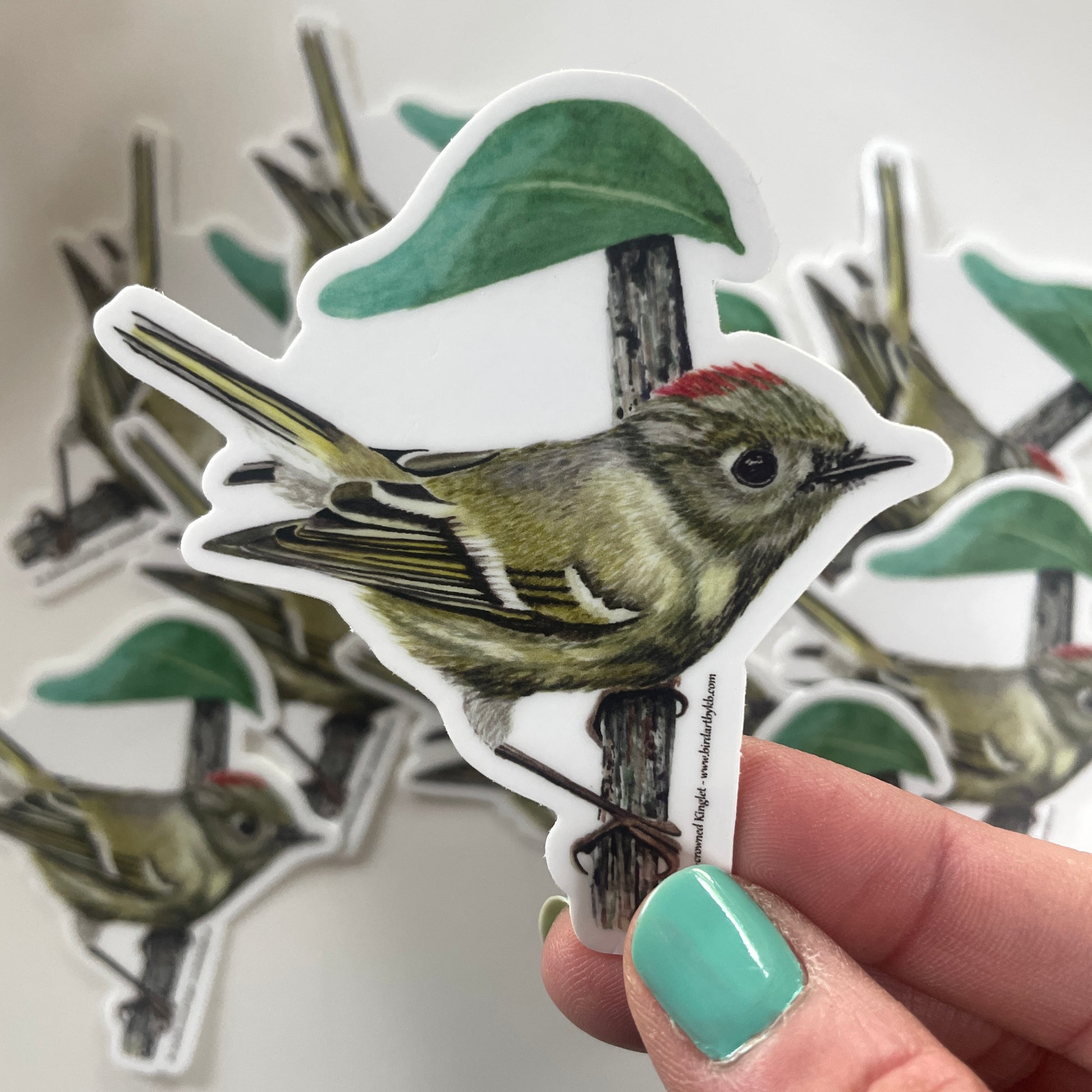 Ruby-crowned Kinglet - Bird Art by KB - Sticker