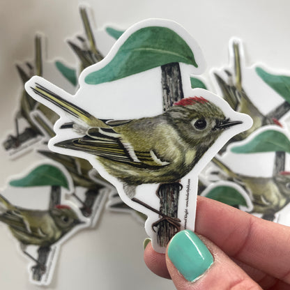 Ruby-crowned Kinglet - Bird Art by KB - Sticker