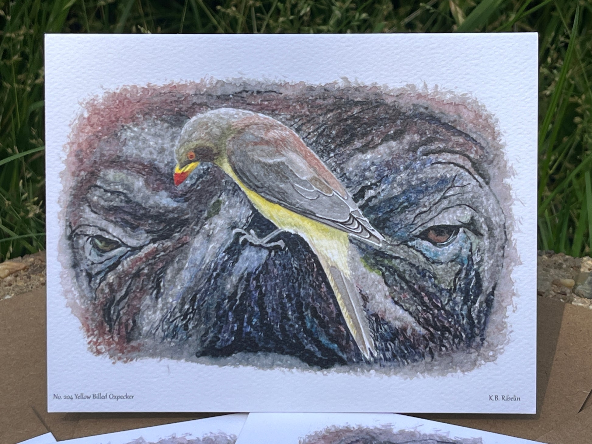 Yellow-billed Oxpecker - Bird Art by KB - Notecard