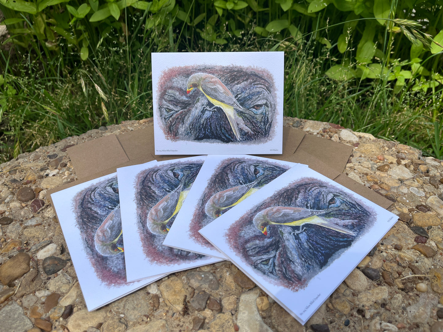 Yellow-billed Oxpecker - Bird Art by KB - Notecard Set