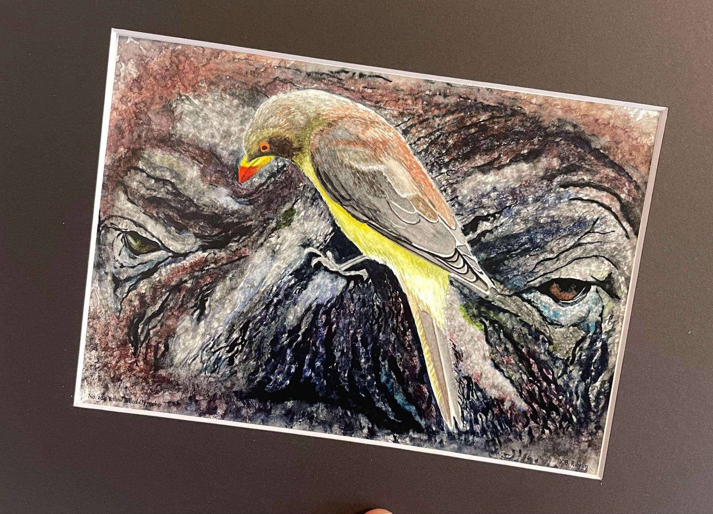 Yellow-billed Oxpecker - Bird Art by KB - Giclee Print with Black Mat