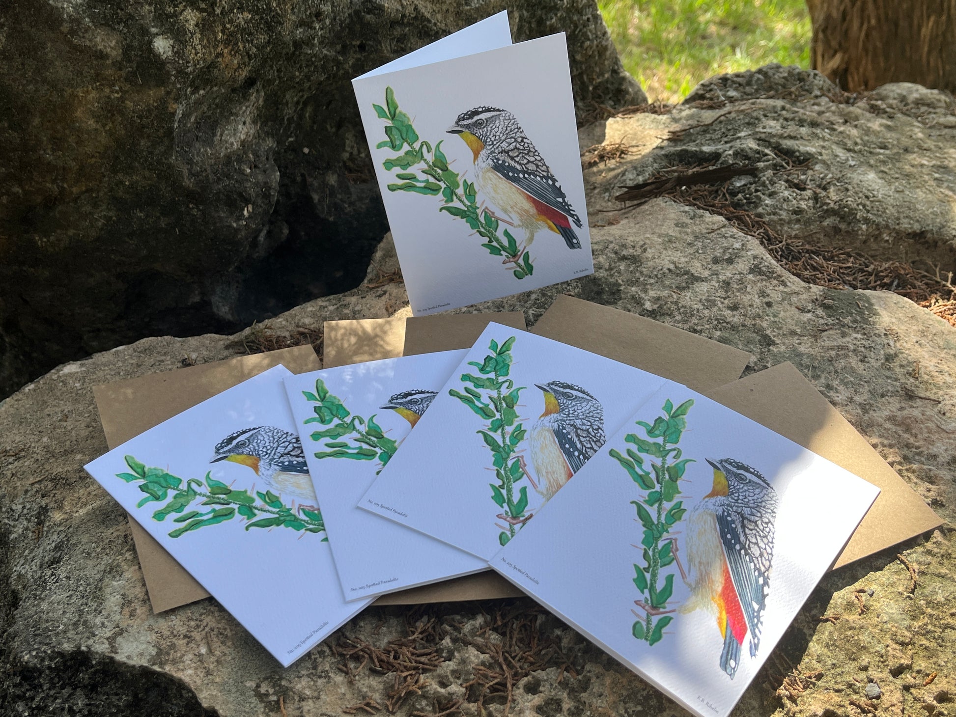 Spotted Paradolte - Bird Art by KB - Notecard Set