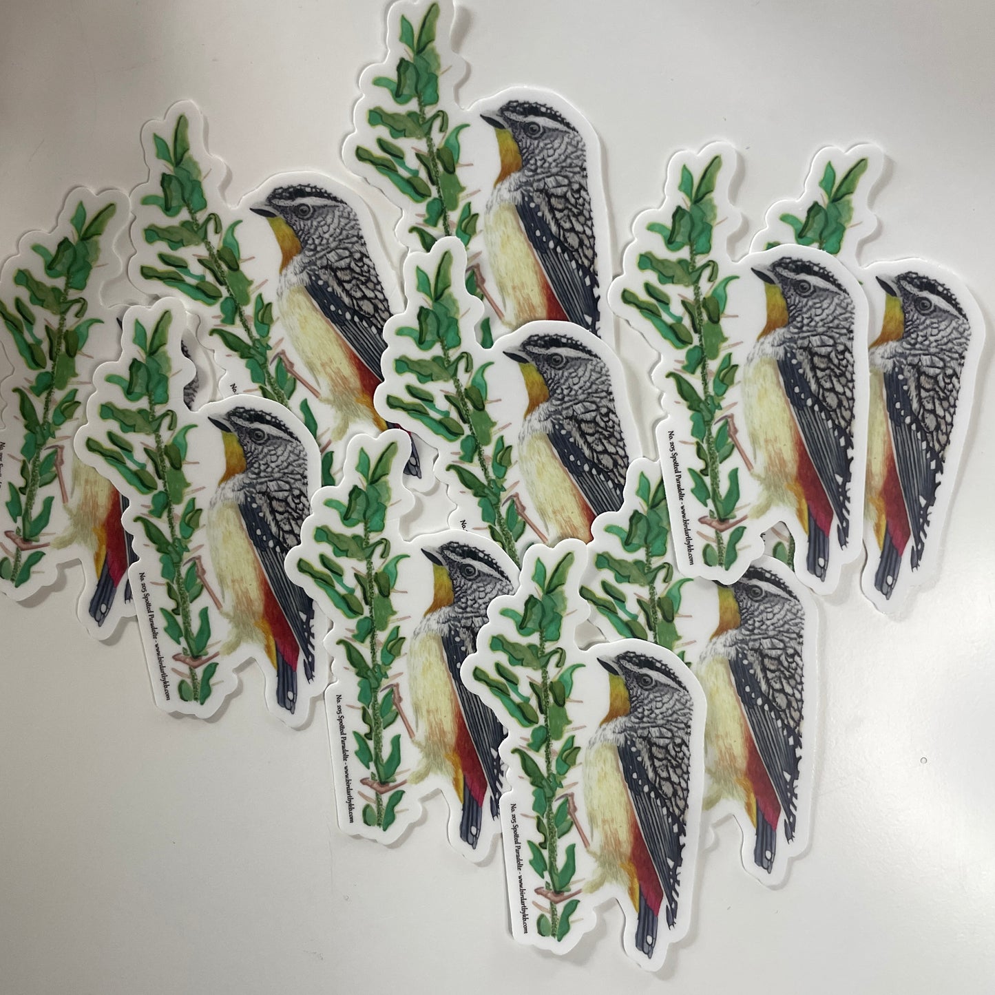 Spotted Paradolte - Bird Art by KB - Sticker