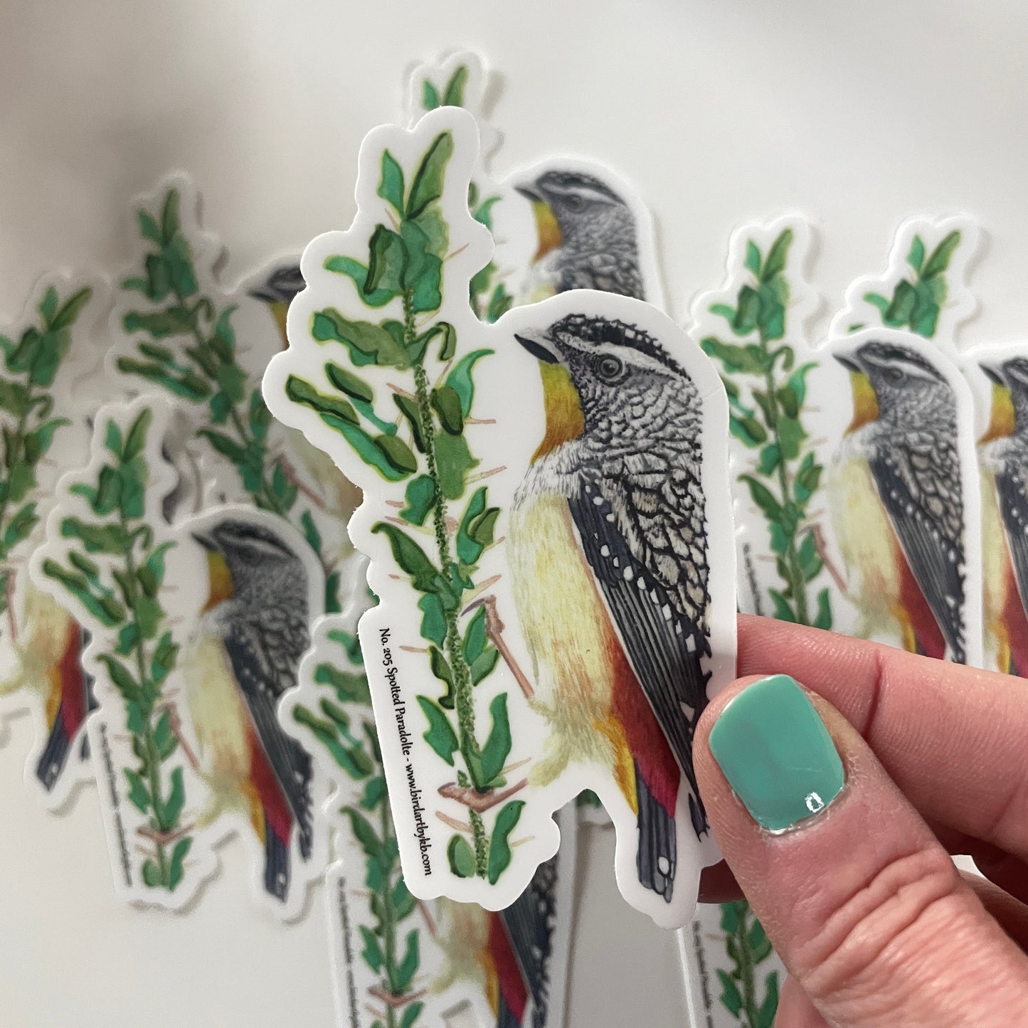 Spotted Paradolte - Bird Art by KB - Sticker