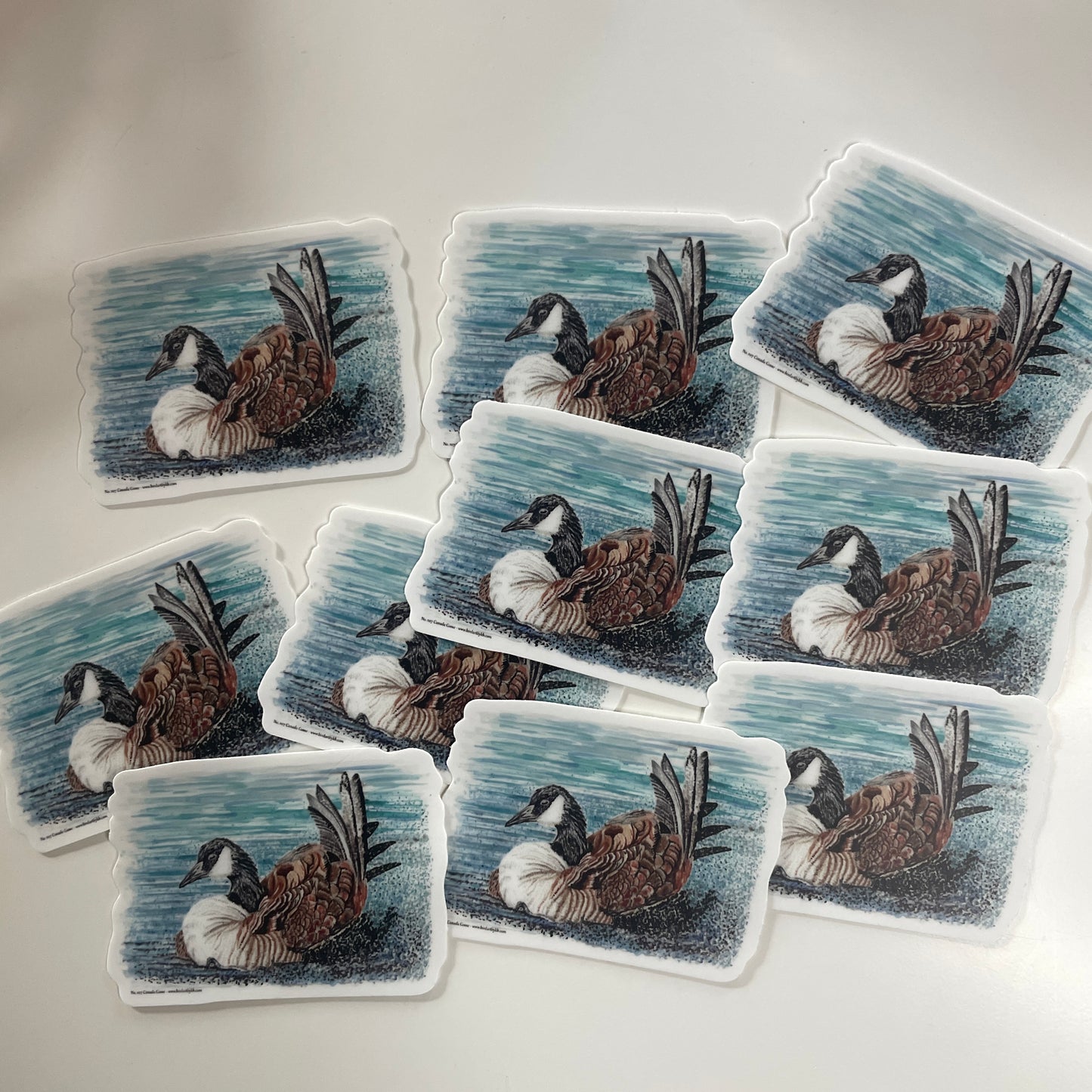Canada Goose - Bird Art by KB - Sticker