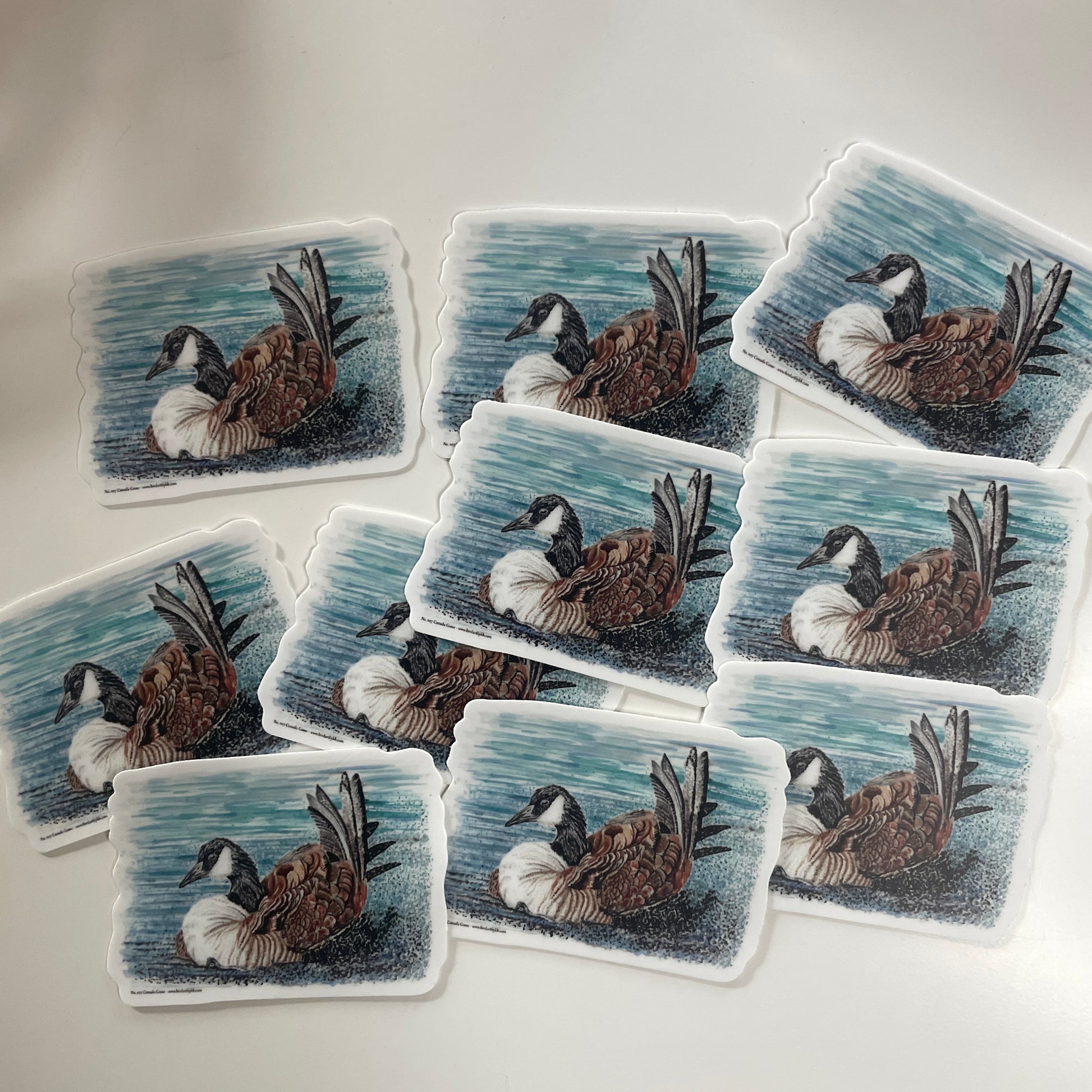 Canada Goose - Bird Art by KB - Sticker