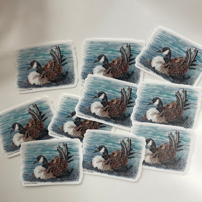 Canada Goose - Bird Art by KB - Sticker