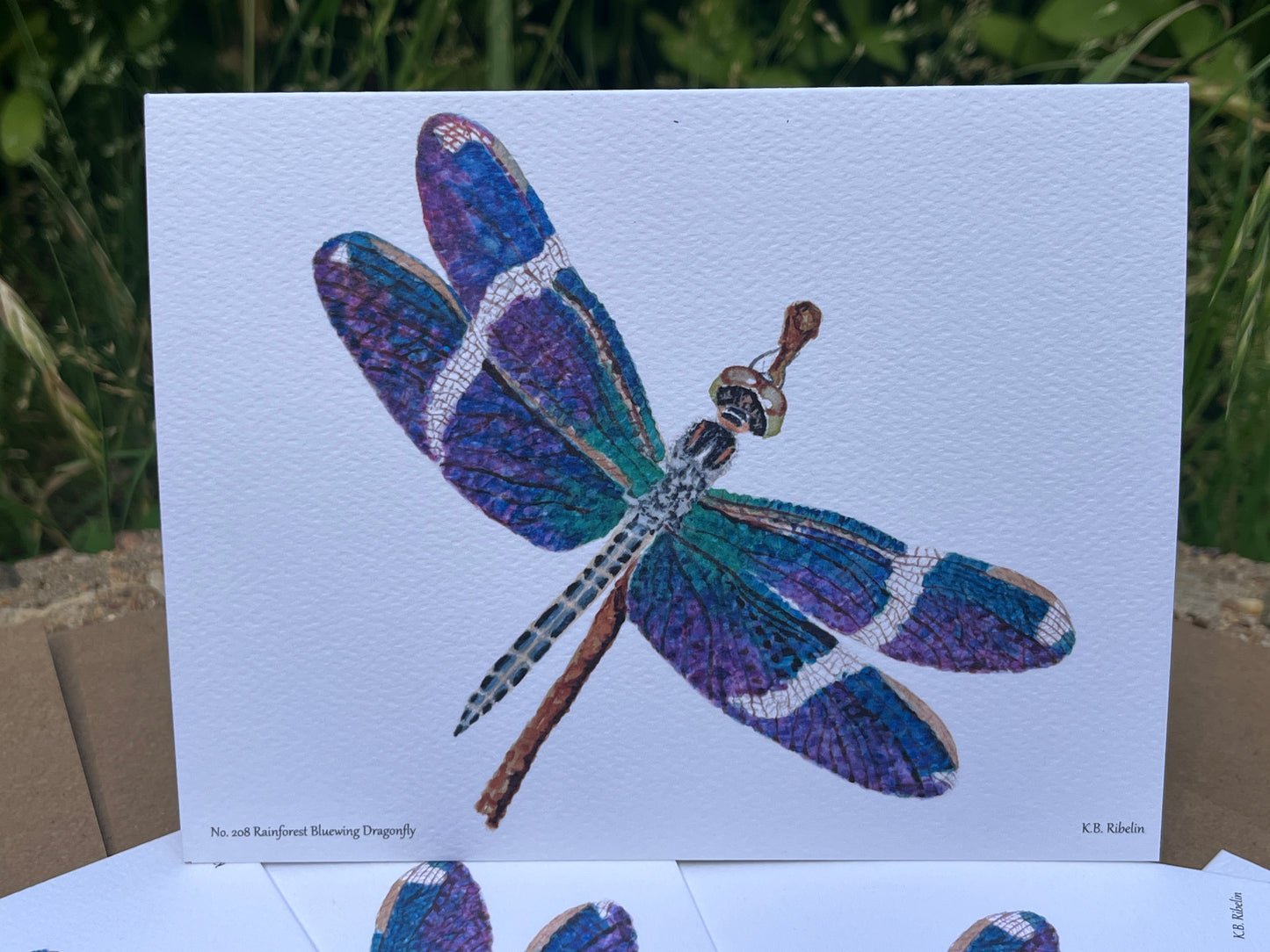 Rainforest Bluewing Dragonfly - Bird Art by KB - Notecard