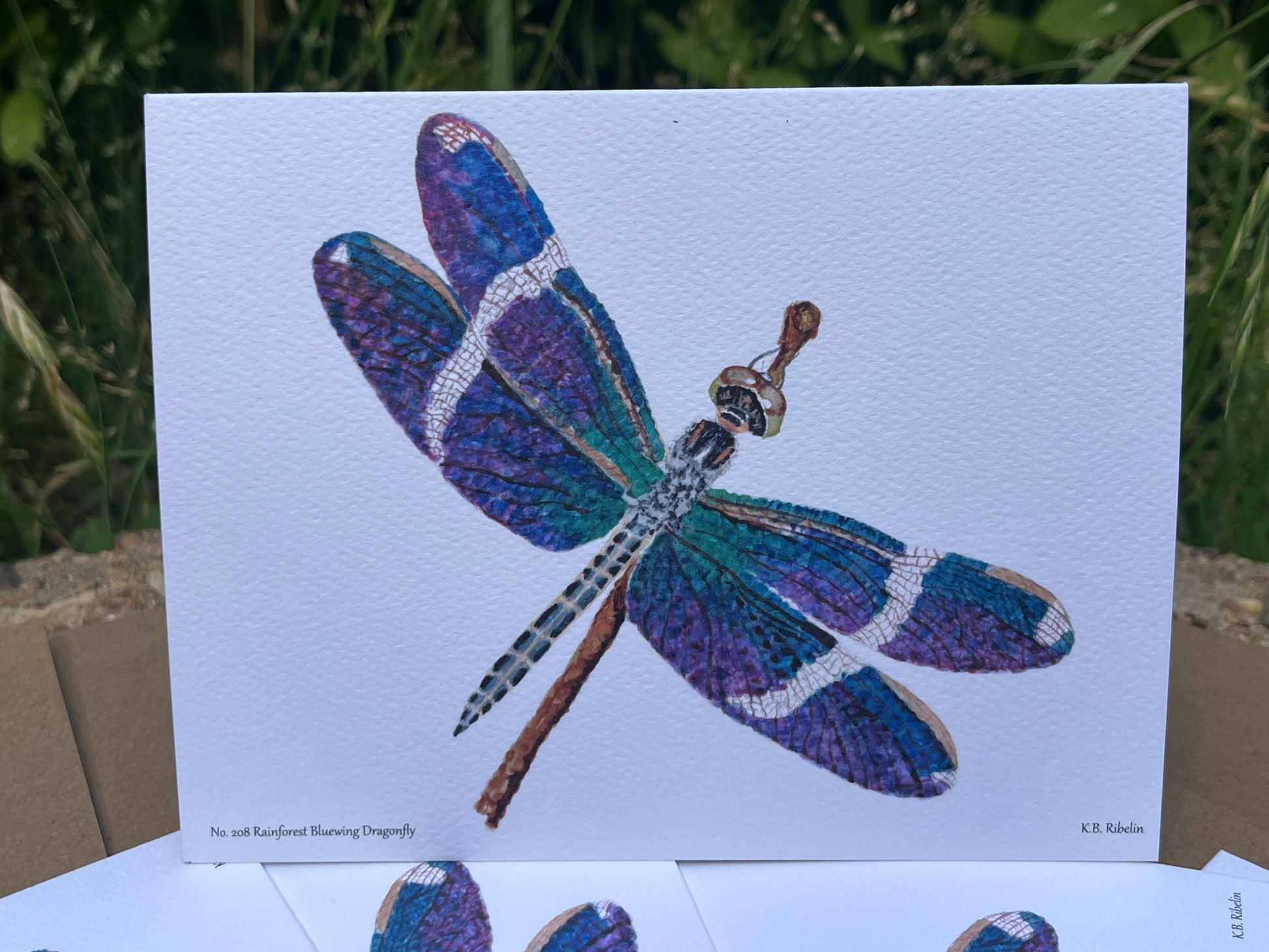 Rainforest Bluewing Dragonfly - Bird Art by KB - Notecard