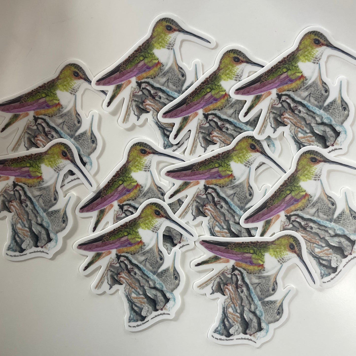Allen's Hummingbird - Bird Art by KB - Sticker