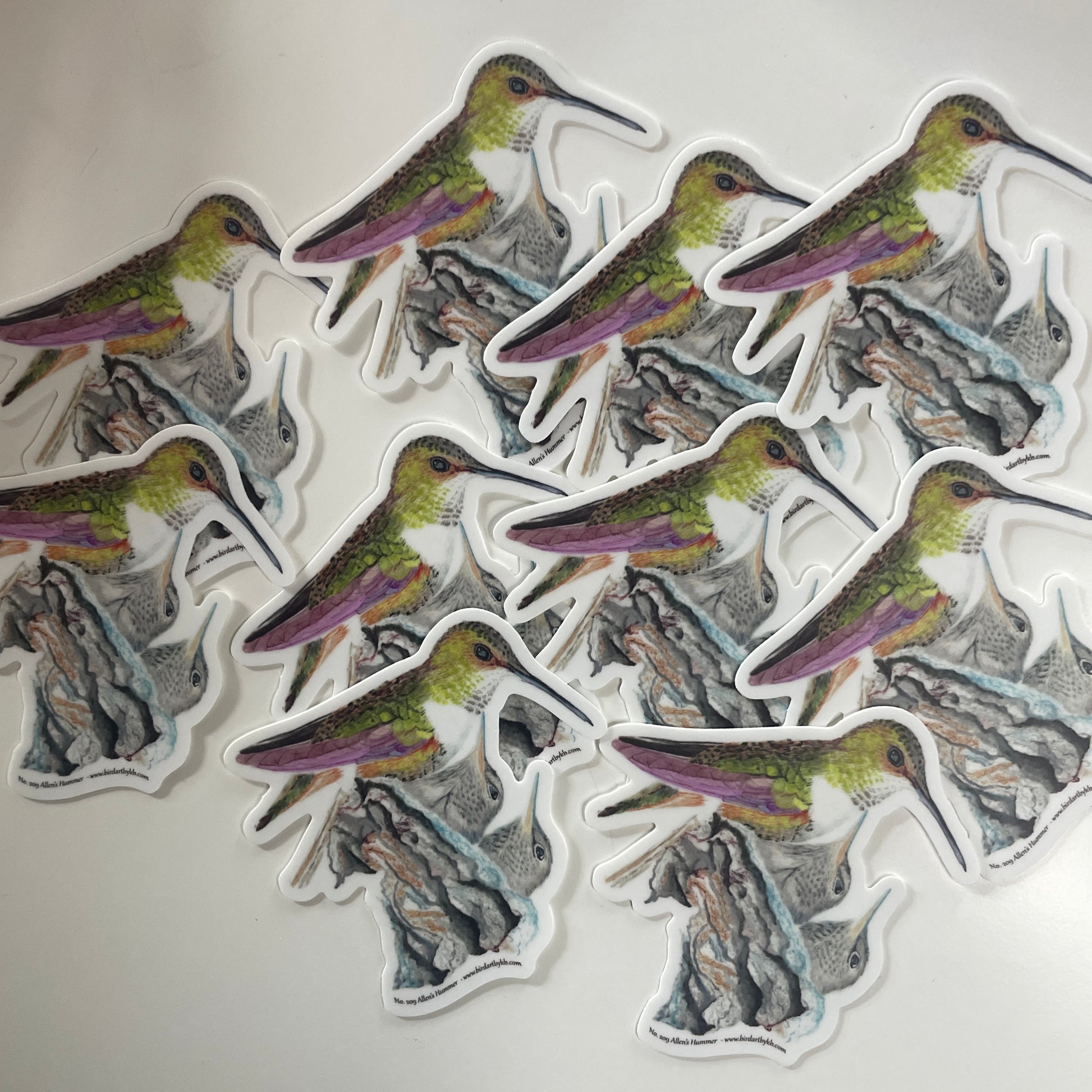 Allen's Hummingbird - Bird Art by KB - Sticker