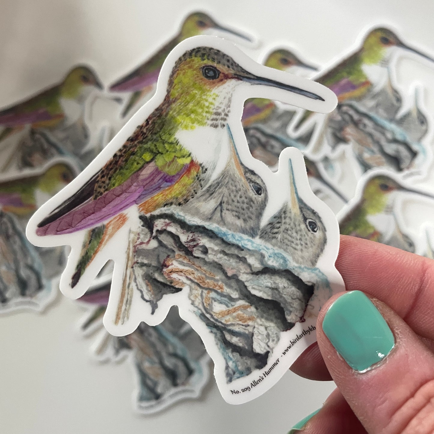 Allen's Hummingbird - Bird Art by KB - Sticker