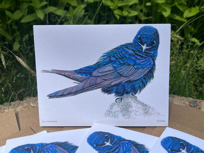 Purple Martin - Bird Art by KB - Notecard