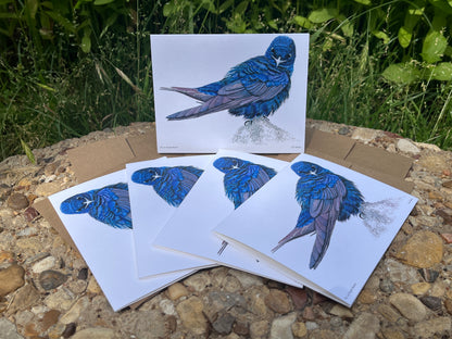 Purple Martin - Bird Art by KB - Notecard Set