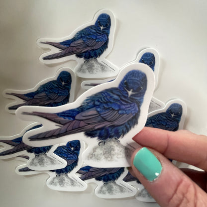 Purple Martin - Bird Art by KB - Sticker