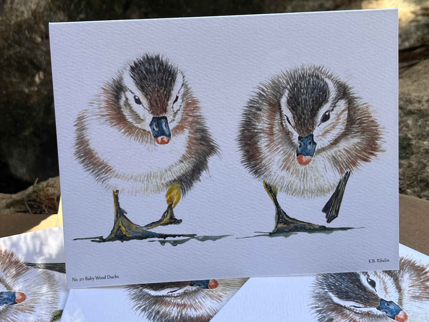 Baby Wood Ducks - Bird Art by KB - Notecard