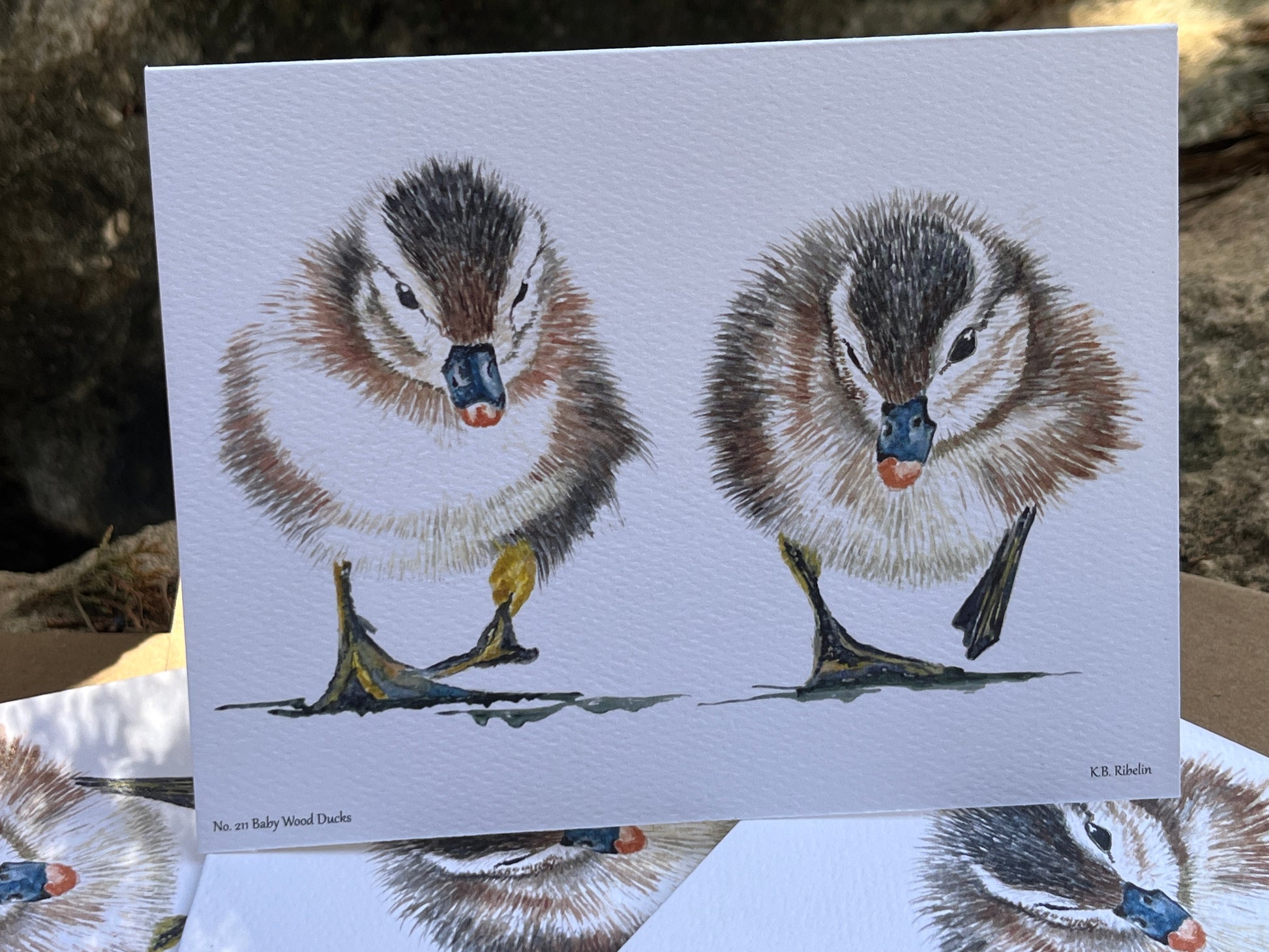 Baby Wood Ducks - Bird Art by KB - Notecard