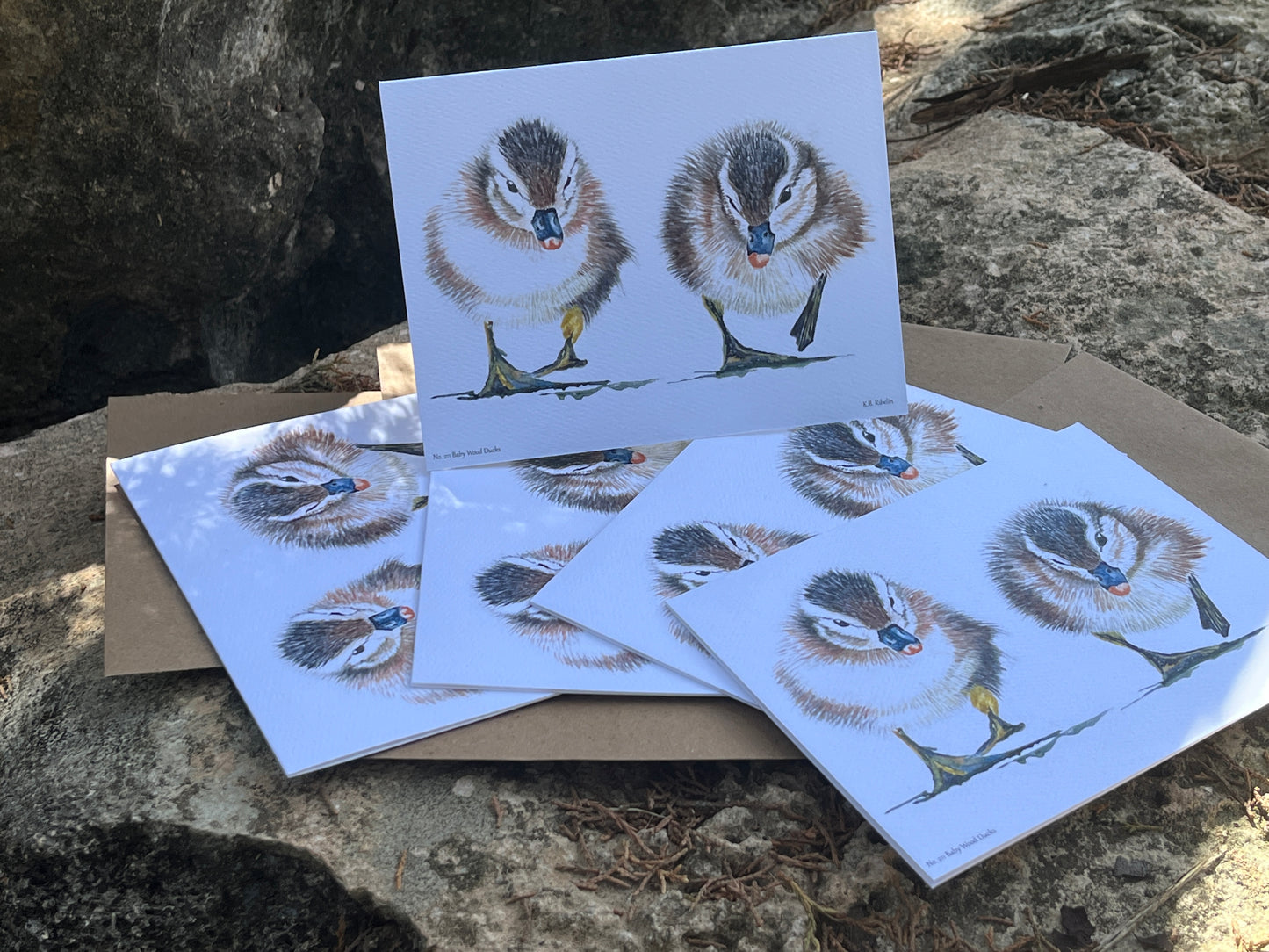 Baby Wood Ducks - Bird Art by KB - Notecard Set