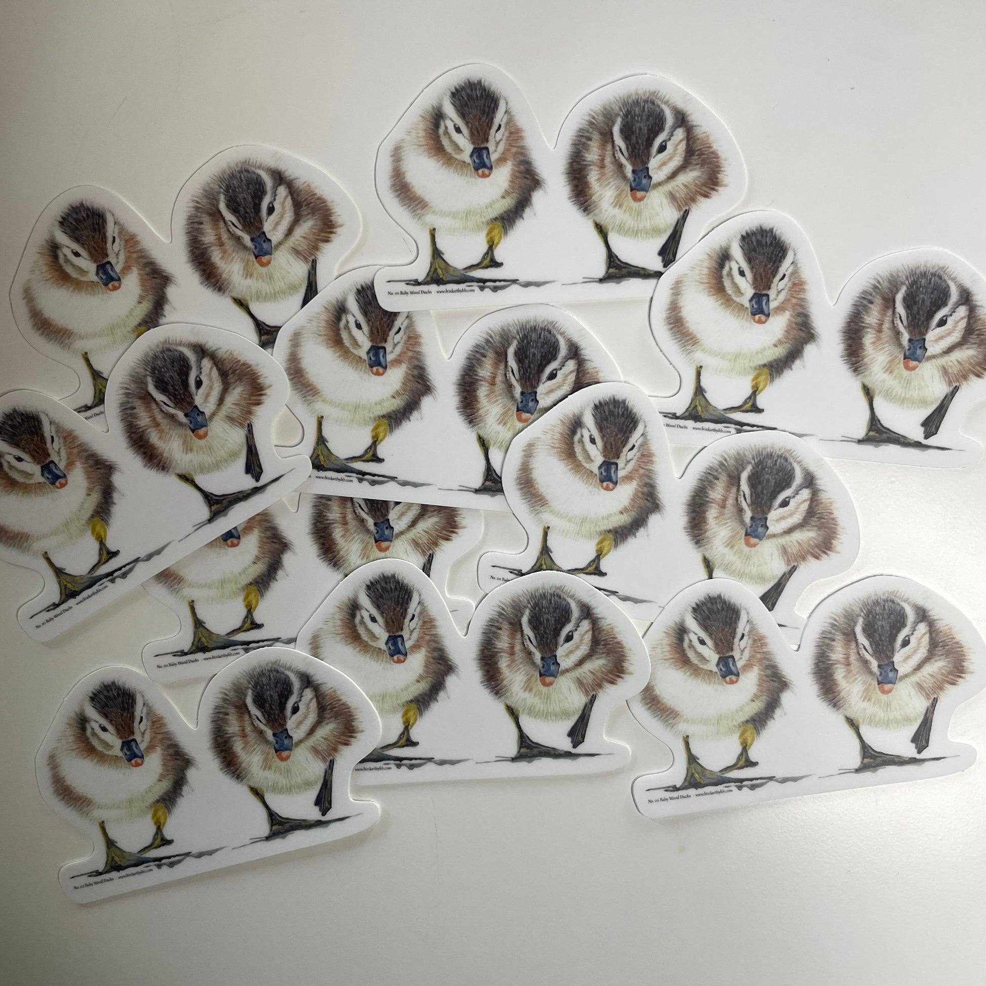 Baby Wood Ducks - Bird Art by KB - Sticker