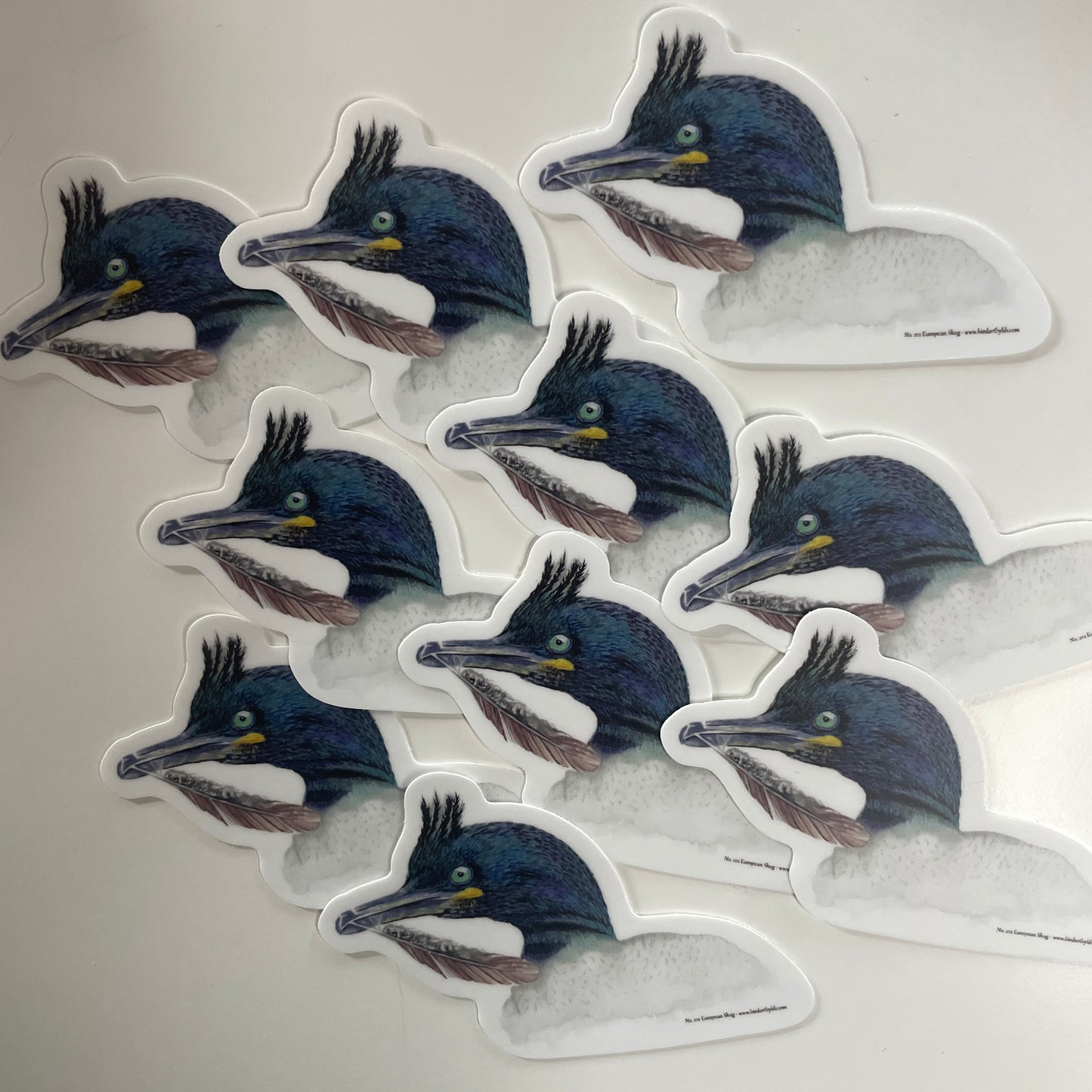 European Shag - Bird Art by KB - Sticker