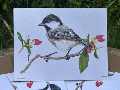 Coal Tit - Bird Art by KB - Notecard