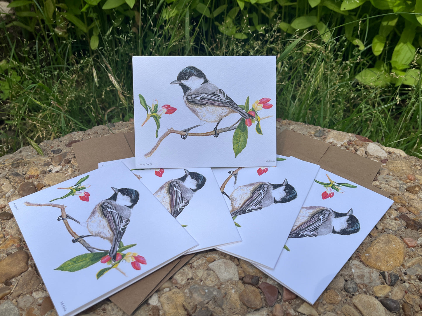 Coal Tit - Bird Art by KB - Notecard Set
