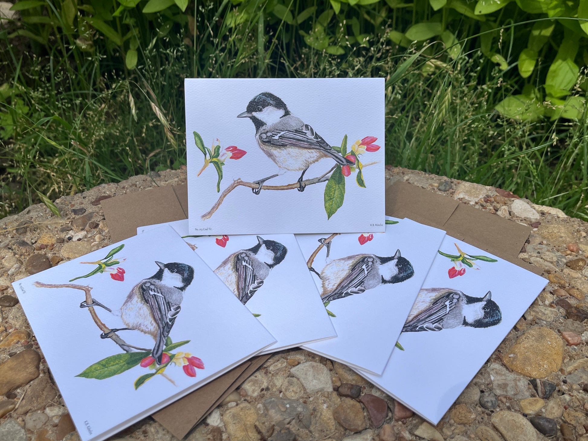 Coal Tit - Bird Art by KB - Notecard Set