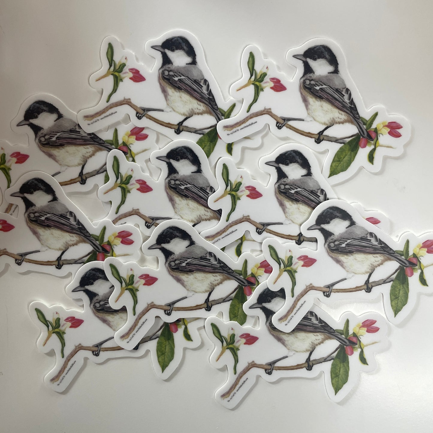 Coal Tit - Bird Art by KB - Sticker