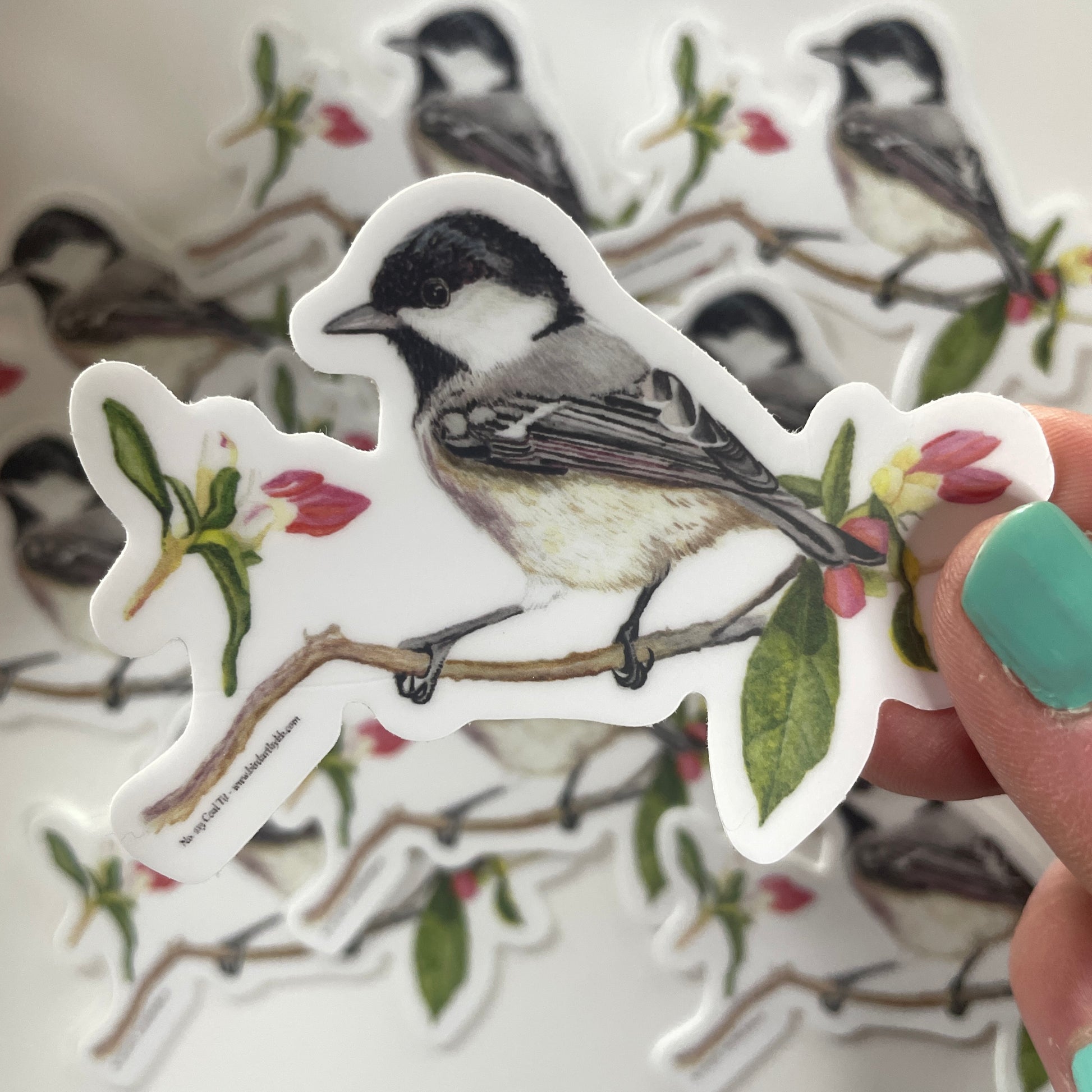 Coal Tit - Bird Art by KB - Sticker