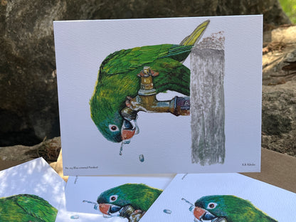 Blue-crowned Parakeet - Bird Art by KB - Notecard