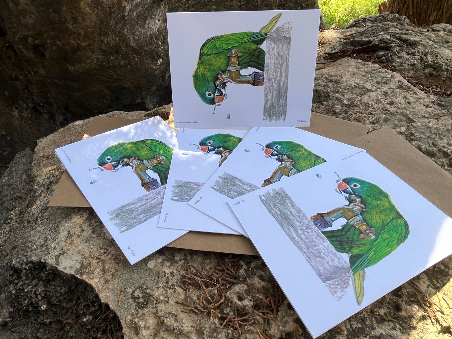 Blue-crowned Parakeet - Bird Art by KB - Notecard Set