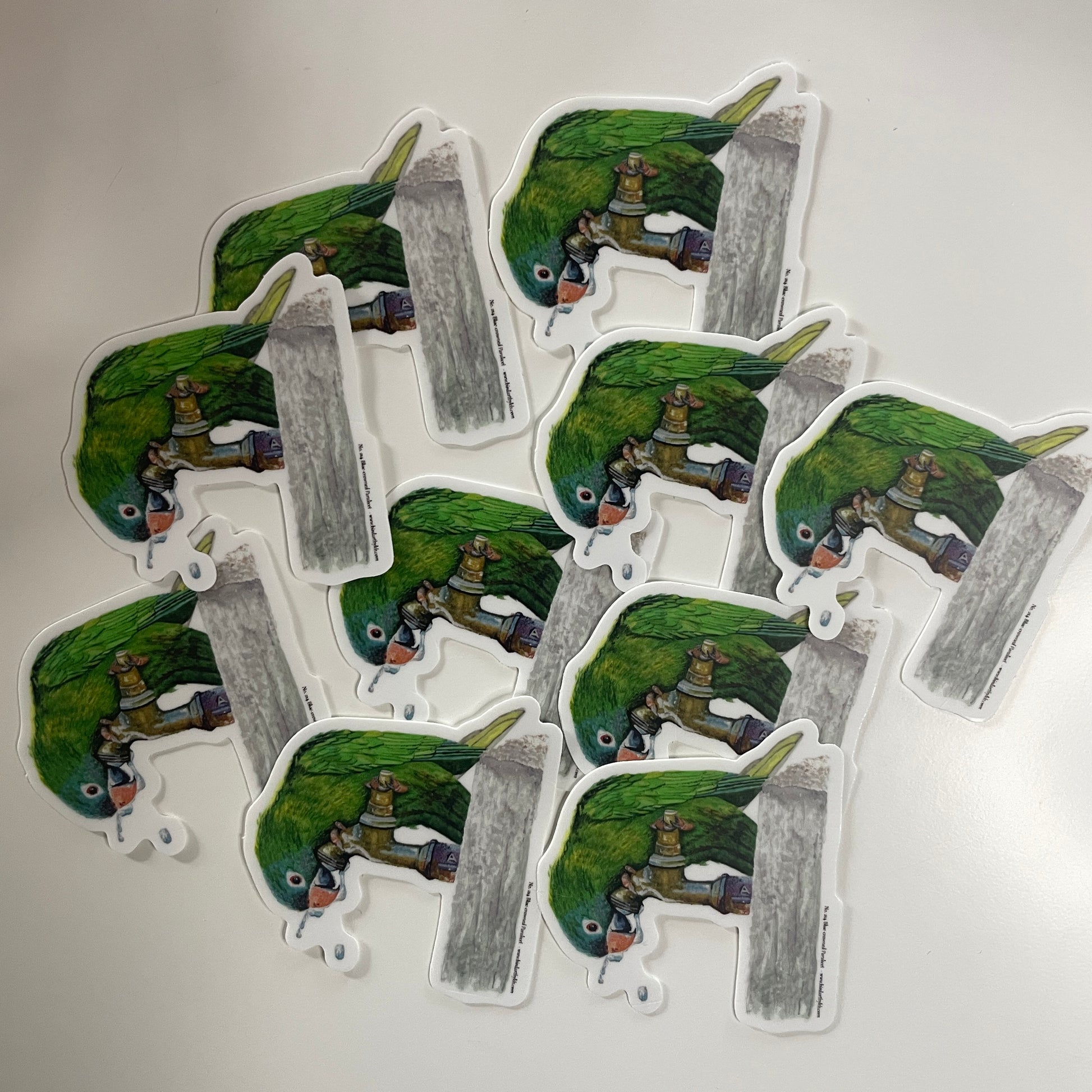 Blue-crowned Parakeet - Bird Art by KB - Sticker