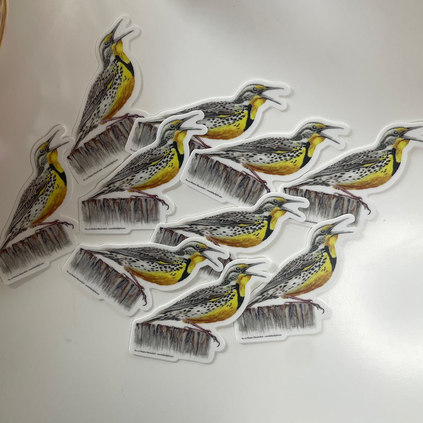 Western Meadowlark - Bird Art by KB - Sticker