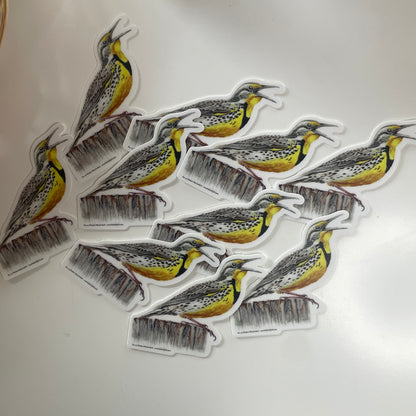 Western Meadowlark - Bird Art by KB - Sticker