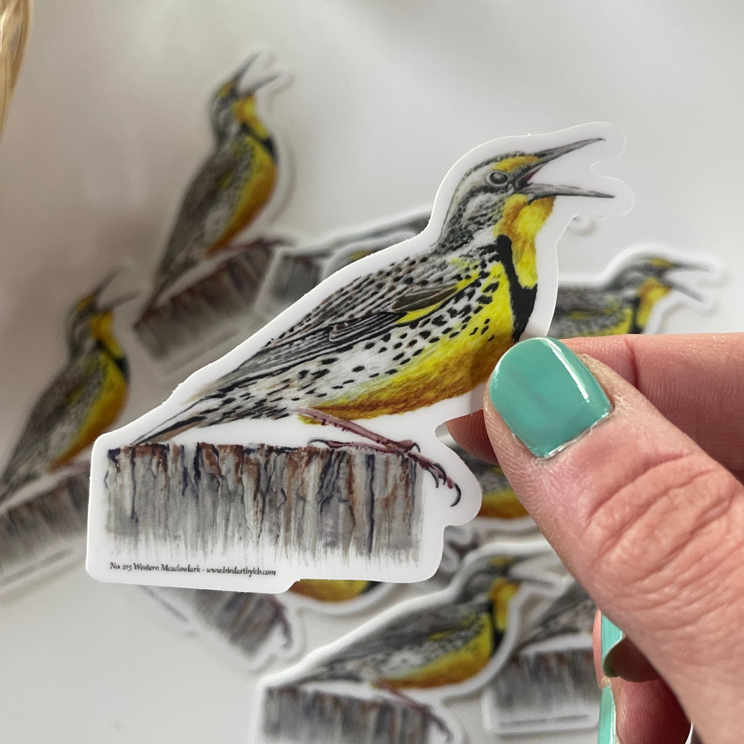 Western Meadowlark - Bird Art by KB - Sticker