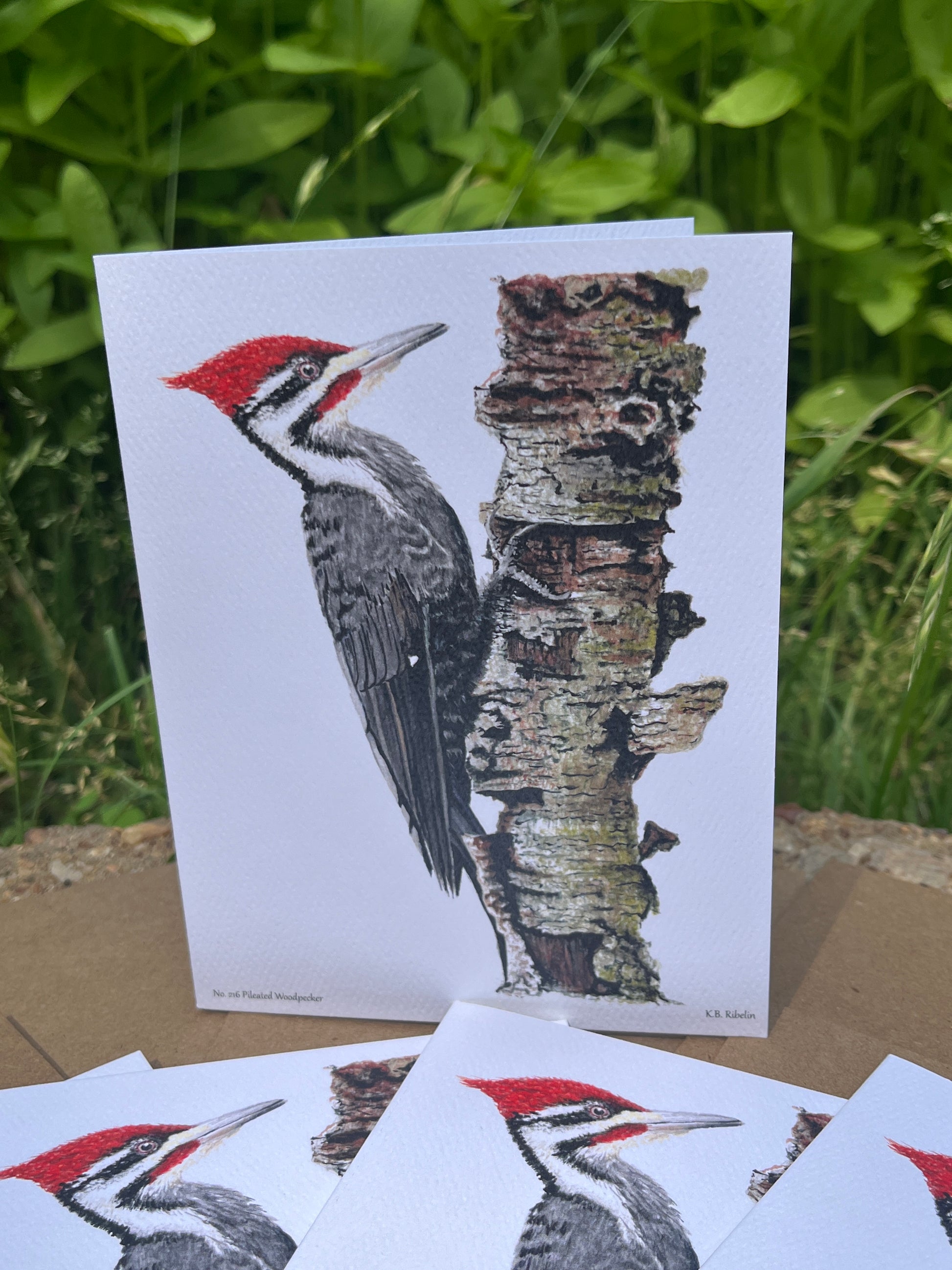 Pileated Woodpecker - Bird Art by KB - Notecard