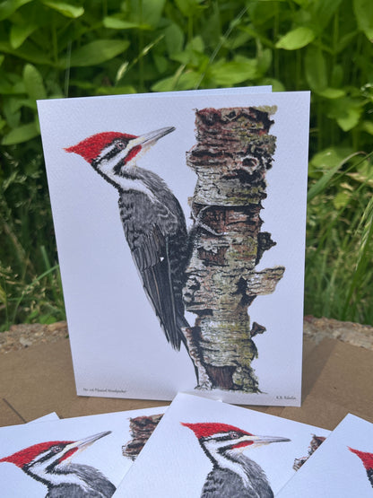 Pileated Woodpecker - Bird Art by KB - Notecard